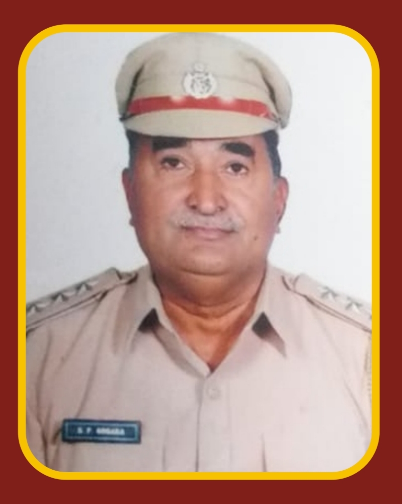 શામળાભાઈ પી. ગોગરા 